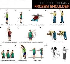 Image result for Shoulder Range of Motion Exercises