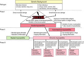 Canter ce, simpson ke.diagnosis and treatment of myocarditis in children in the current era. Https Www Escardio Org Static File Escardio Press Media Press Releases 2014 Current State Of Knowledgeonaetiology Ppaer Sep 2013 Wg Cmp Pdf