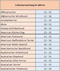 wie alt ist dein hund tatsachlich hundeblog aus bremen hunde hundealter hund und katze