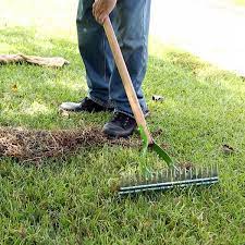 Use a specialized thatch rake, not a leaf or garden rake. When Why And How Often To Dethatch Lawn The Family Handyman