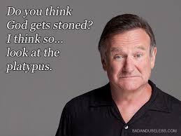 Lovely, Wise, And Of Course Funny Words From Robin Williams - Scout via Relatably.com