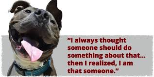 Das serves tens of thousands of pets and even more people within the city of dallas each year. Friends To The Forlorn Pitbull Rescue Inc