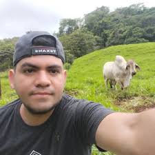 Una bodega de TEMU de más de 17,000 mts cuadrados se incendió el día de hoy  en China. Se estima que la perdida monetarias por todo el inventario  dañanado alcanzó la devastadora