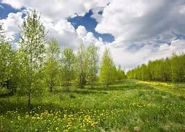 Conocé nuestras increíbles ofertas y promociones en millones de productos. Prado Play Jigsaw Puzzle Gratis En Epuzzle