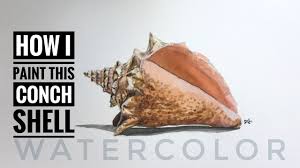 Conch shells are used in mayan art as paint or ink holders. How I Paint This Conch Shell Watercolor Painting With Written Description Youtube