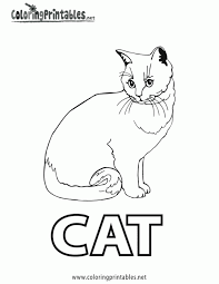 Free printable bobcat coloring pages for kids of all ages. Bobcat Animal Pictures Coloring Home
