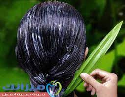 تجربتي مع استخدام جل الصبار للشعر بدون إضافات