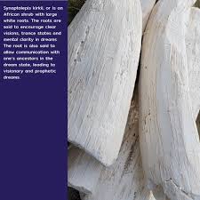 Image result for Synaptolepis