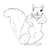 We did not find results for: Free Printable Squirrel Coloring Pages For Kids