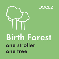 Credeți că ați terminat toată lucrarea? Joolz Hub Pushchair Joolz Official Webshop