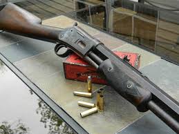 Image result for Light Buckskin 1990 Colt