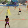 Summer Heat Beach Volleyball from cdromance.org