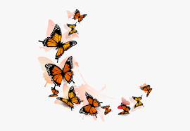 Free for commercial use no attribution required high quality images. Flying Butterflies Transparent Background Hd Png Download Transparent Png Image Pngitem