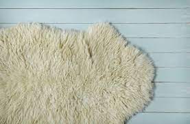 The word hide is related to the german word haut which means skin. 8 Ways To Transform Your Home With Animal Skin Rugs