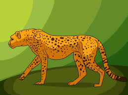 Now draw a sideways, capital letter 'd' at the bottom of each oval for the back feet. Drawing Of A Cheetah Novocom Top