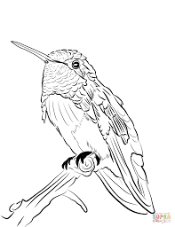 Buy yarn and crafts on sale. Anna S Hummingbird Coloring Page Novocom Top