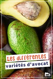 Quelles Sont Les Differentes Varietes D Avocat Avocat Varietes Marmiton Recette Cuisine Aliment Avocat Recette Fruits