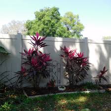 They can shield your house from for showy blossoms in full sun, choose a forsythia, flowering quince, natal plum, or oleander; Choosing Plants For Your Landscape Follow Nature S Lead Dengarden