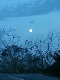 Una Noche De Luna Llena En Puerto Rico Island Puerto Rican Cuisine Puerto Ricans