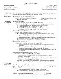 Aug 22, 2018 · 1. A Proper Resume Example August 2021