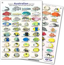 Australia Reef Fish Id Card Waterproof Double Sided Card
