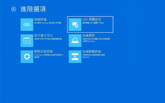 進階選項