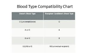 Blood Type Compatibility Chart Download Scientific Diagram