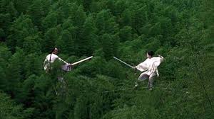 The story of the daughter of a chinese aristocrat during the china dynasty in the first part of the 20th century, who has a secret identity as a subversive. Viewer Guide Crouching Tiger Hidden Dragon And Robot Frank Blog Reel 13 Thirteen