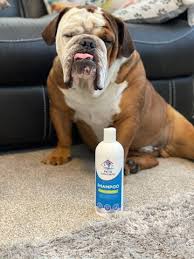 Couldn't recommend the store enough. Pet Grooming Near Me Dog Wellbeing Store In Georgia Us Pets Supply Depot
