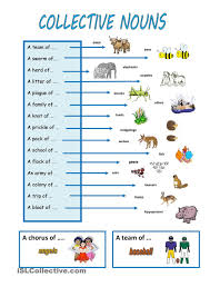 Animal Collective Nouns Google Search Collective Nouns Nouns Nouns Exercises
