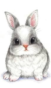 Image Via We Heart It Cute Cute Drawings Animal Drawings Animal Art