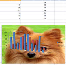 Vba For Excel 2007 Tutorial Background Image Of Chart Area