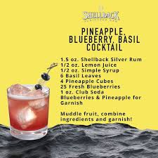 Recipe Card Recipe Cards Sample Recipe Cocktail Recipes