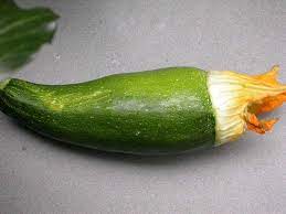 Blossom End Rot Of Cucurbits