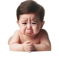 Spring Spring Willow PNG Transparent Images Free Download