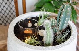 Here's what you need to know (including materials used, the step by step tutorial & after care instructions) to make an indoor cactus garden. Diy Easy Indoor Cacti Garden Curated By Life