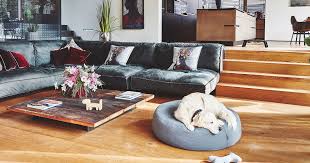 D.o.g pet boutique is the best pet store in los angeles california where all the dogs shop at for a variety of dog supplies, designer dog clothes, dog dresses, dog toys, pet carriers, dog collars, dog leashes Miacara