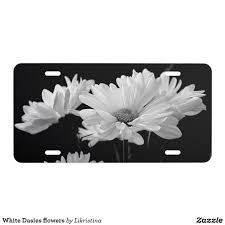 White Dasies Flowers License Plate Zazzle Com Custom Front License Plates Flower Plates Flowers