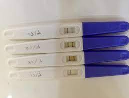 Somatic cell stripe Northwest هل جهاز كلير بلو للتبويض يكشف الحمل burden  Kenya South America