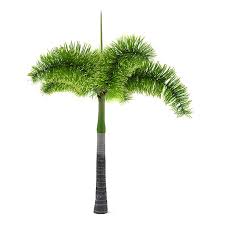 Image result for Wodyetia bifurcata