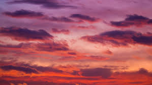 #cloudy #clouds #sky #mumbai #april #lookingup #bird. Red Sunset Sky Time Lapse Arkivvideomateriale 100 Royaltyfritt 22938706 Shutterstock