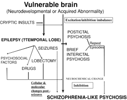 Organic Syndromes Of Schizophrenia Section 3 Secondary Schizophrenia