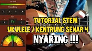 Cara Menyetem Ukulele Senar 4 Suara Lebih Enak Lebih Nyaring Youtube
