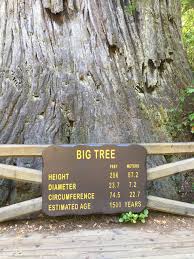 Fodor's the complete guide to the national parks of the west ready to experience the national parks of the west? Redwood National Park 2021 What To Know Before You Go With Photos Tripadvisor
