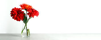 See more ideas about flowers, grief, casket flowers. 15 Mexican Flowers Symbolism And Where To Find Them Proflowers Blog