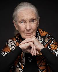 It's pink, it's conical, it's undeniably perky: Vogue's @JuliaHobbs_ road  tested the @MiuMiu bullet bra