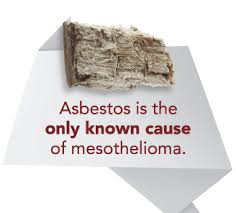 I am going to stop worrying about it. What Is Asbestos The Only Known Cause Of Mesothelioma