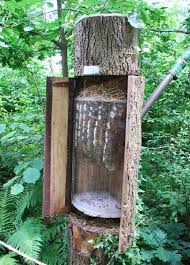Poze Cu Si Despre Albine Bienenzucht Im Garten Bienen Zuchten Holz Im Garten