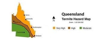 Residential pest control pest control brisbane pest control gold coast pest control logan pest control sunshine coast pest control caboolture termite pest control. Termite Inspection Gold Coast Termite Treatment Gold Coast
