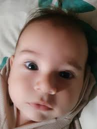 Divertidos videos de bebés para disfrutar